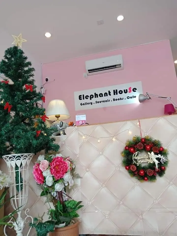 Elephant House Hotel George Town 2*,